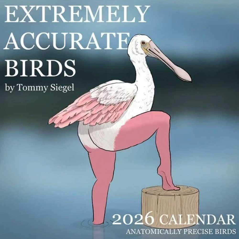Classroom Calendar with Natural Beauty Large Writing Space Calendar 2026 Funny Birds Wall Calendar N