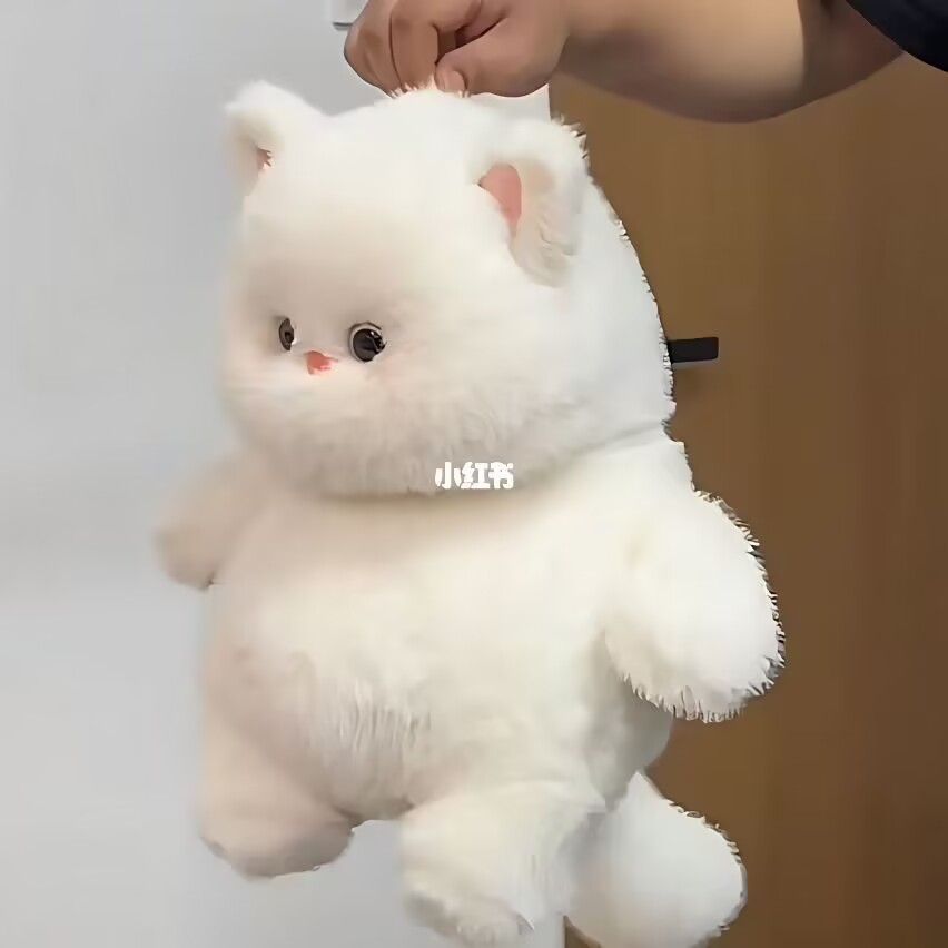 Meo meo nó con dễ thương mèo trắng búp bê siêu mềm đồ chơi sang trọng ngủ với gối ôm