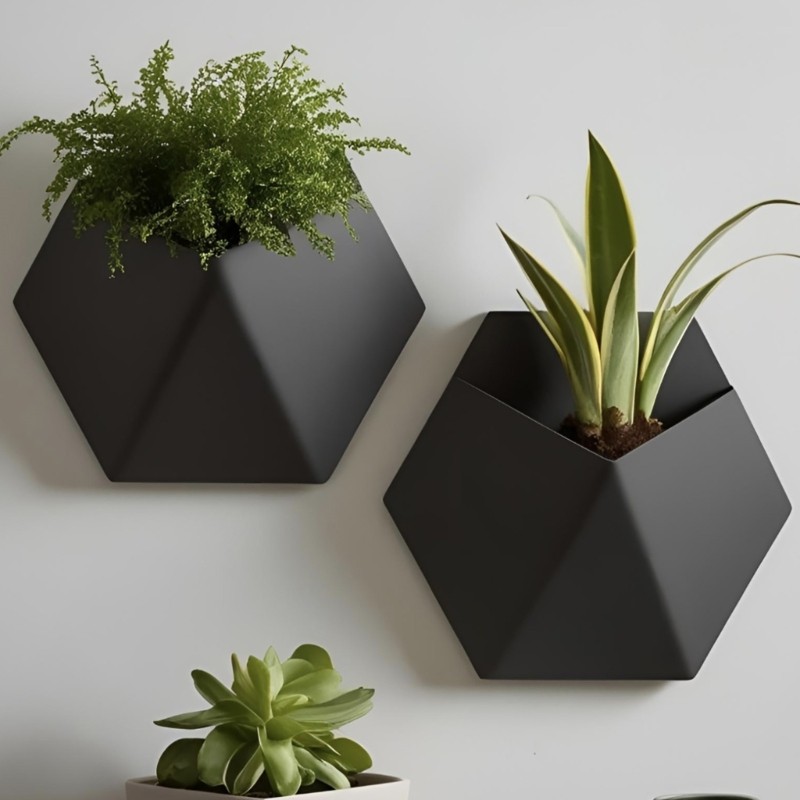 GROUP Hoa treo hiệu quả không gian in 3D cho văn phòng tại nhà Căn hộ Vườn