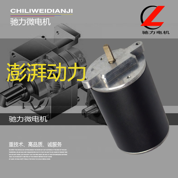 Nhà sản xuất Cung cấp Ống thép DC Micro Motor Yu Yao Micro Motor Brushed DC Motor