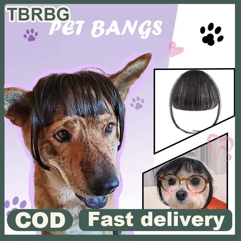 Không Ngộ nghĩnh Mèo Tóc Giả Trimmable Thú Cưng Tóc Giả Mèo Tóc Giả Cung Cấp Phụ Kiện Thú Cưng Sáng 