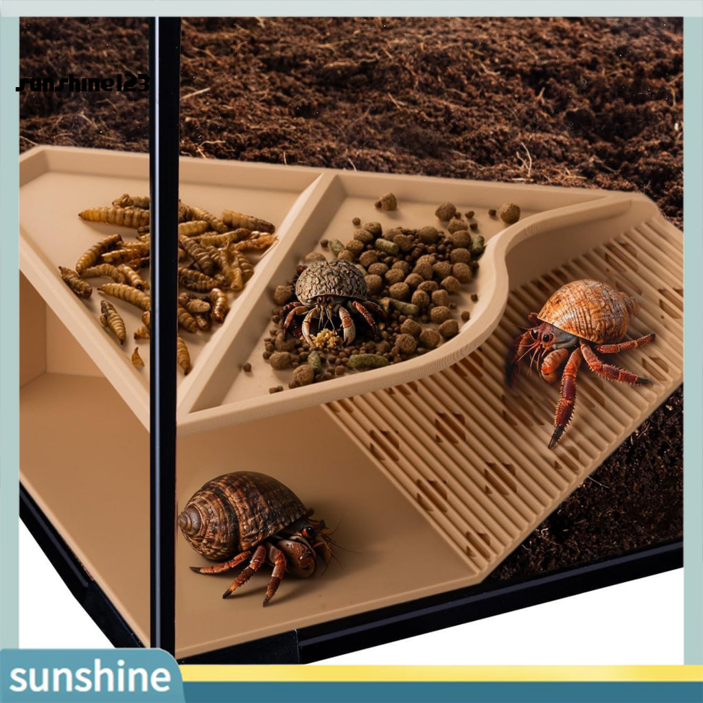 < Sunshine123 > Nơi ẩn náu cua Hemit Crab Habitat Hemit Crab Hideout Cave Shelter Underground Habita