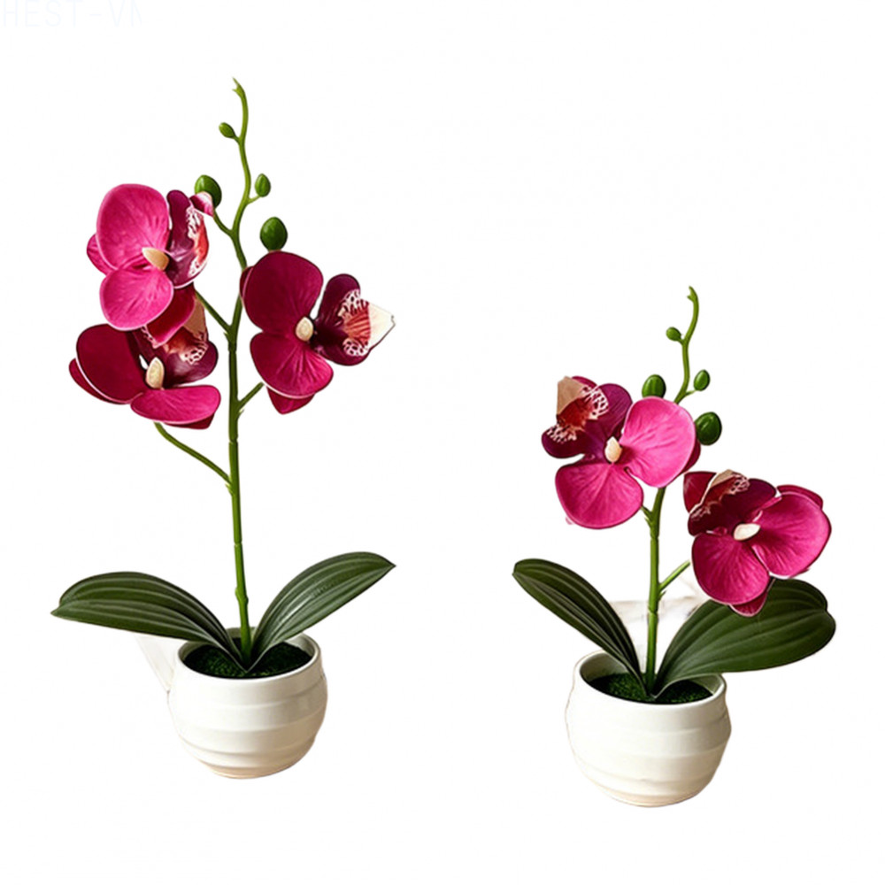 Phalaenopsis Orchid Potted Fake Flowers 2 Pieces for Contemporary For Home Decor