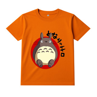 Áo Thun Trẻ Em TOTORO, Chất Poly Thái , Có Size Lớn Từ 7-95kg, Nhiều Màu Áo, Size To Nhắn Shop, ANAMKIDS