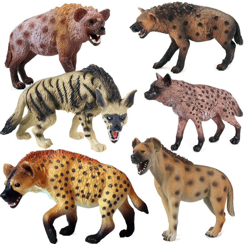 Đồ chơi mô phỏng Coyote Mô hình mô phỏng động vật châu Phi Spotd Iguana Solid Zoo Giáo dục mầm non N