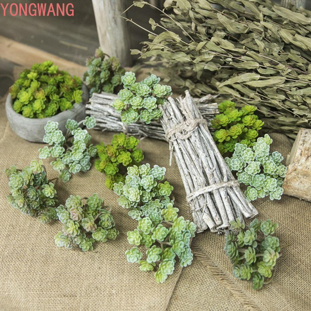 YONGWANG66ZX Cây mọng nước nhân tạo, Cây xương rồng nhân tạo Mini 24 đầu bằng nhựa, Cây giả Thực tế 