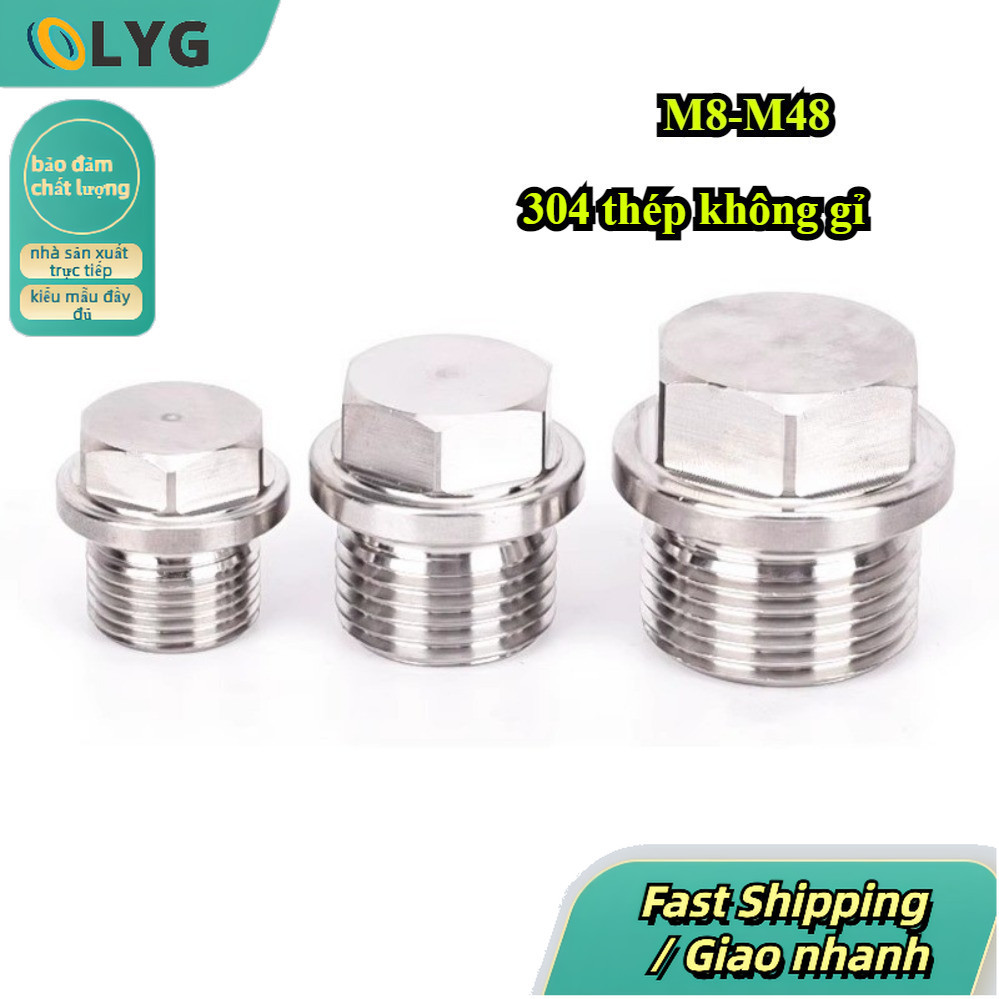 Hàng Có Sẵn Nút Cắm Lục Giác Mặt Bích Inox 304 M8-M48 / 304 SS Flange Hex Plug【LYG-MB】
