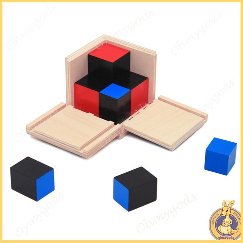 OMG * Kid Early Learning Algebra Mathematics Binomial Set Toy