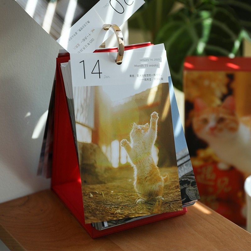 quà giáng sinh noel quà noel Ngày dễ thương gặp mèo 2025 ấm áp chữa bệnh mèo lịch 365 ngày một ngày 