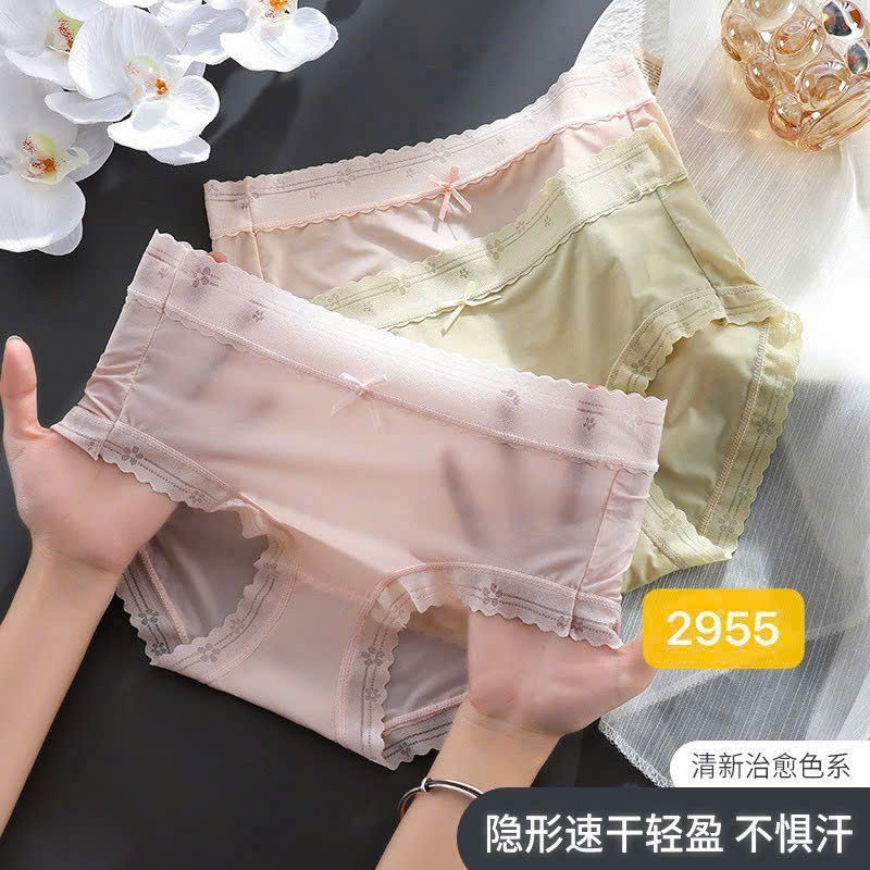 Quần chip 2955 quần lót nữ cạp cao su lạnh 2T shop