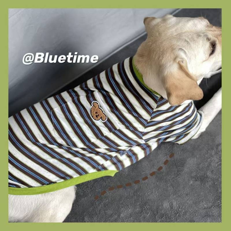 【Ready Stock】 Golden Retriever Labrador T-shirt Large Dog Border Collie Air Conditioning Clothes Str
