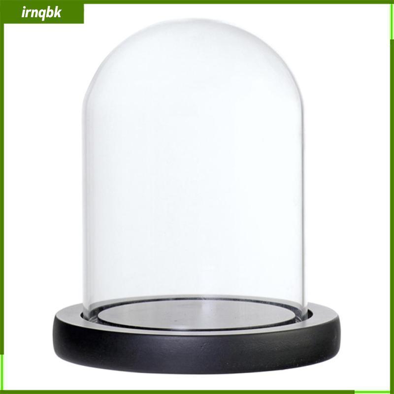 Cloche Dome Đồ chơi Jar Terrarium f / Store Vườn thu nhỏ Cảnh quan Trang trí
