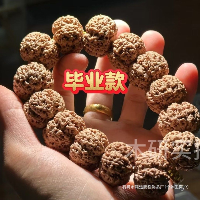 Chính hãng Nepal Donkey Kong Bodhi Seed Bracelet Plum Blossom Double Dragon Tốt nghiệp Lớp Full Meat