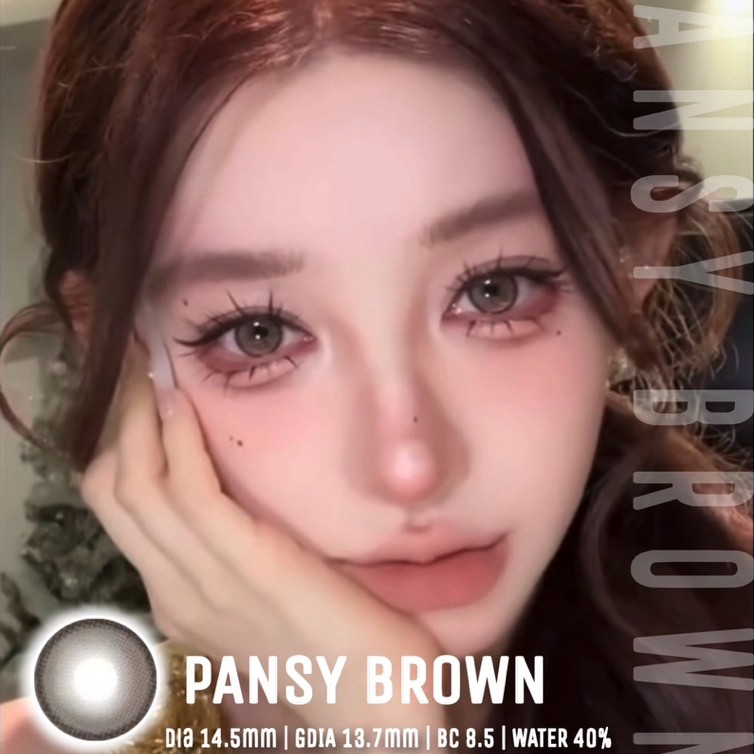 PANSY BROWN - Giãn nhẹ . Kính Áp Tròng Olivia Monrose