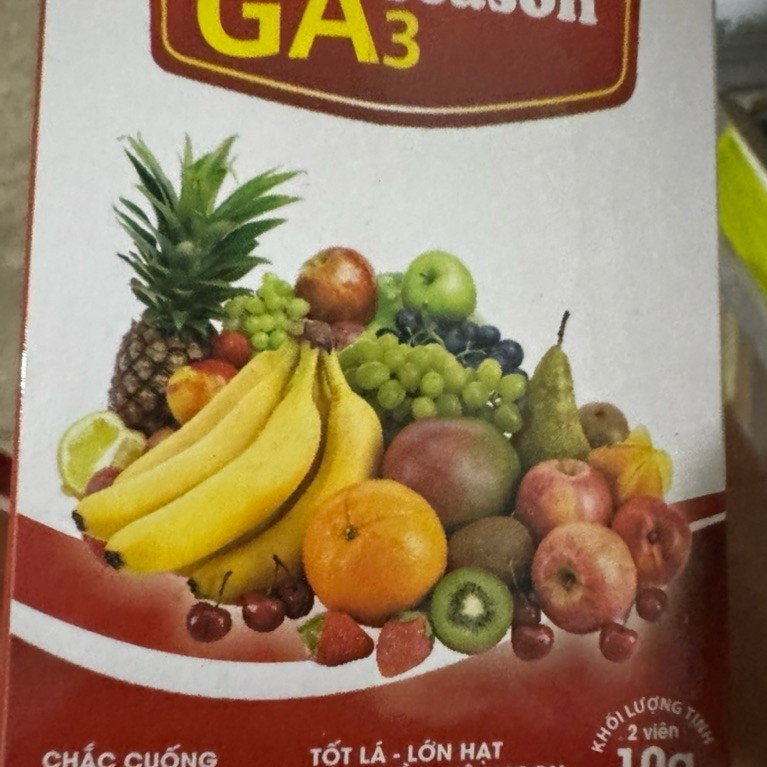 GA3 mập cành, vươn lá, GA3 to trái