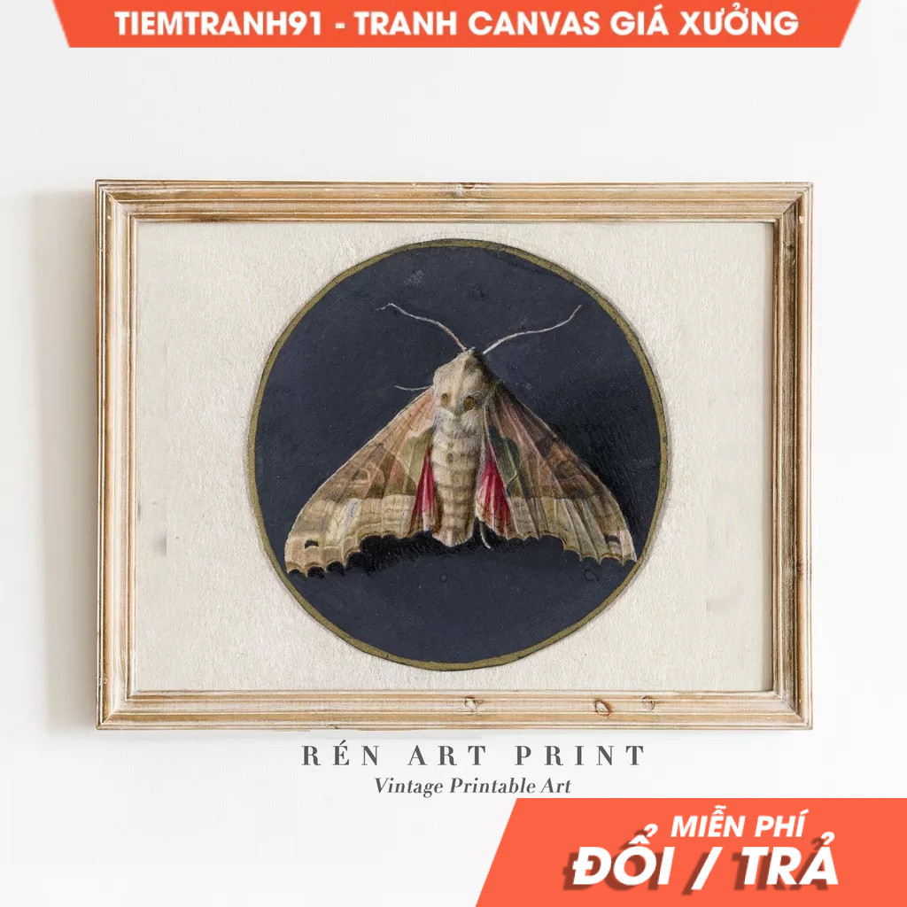 Tranh treo tường, Vintage Moth Art Dark Moody Insect Wall Art Antique Butterfly Painting Dark Cottag