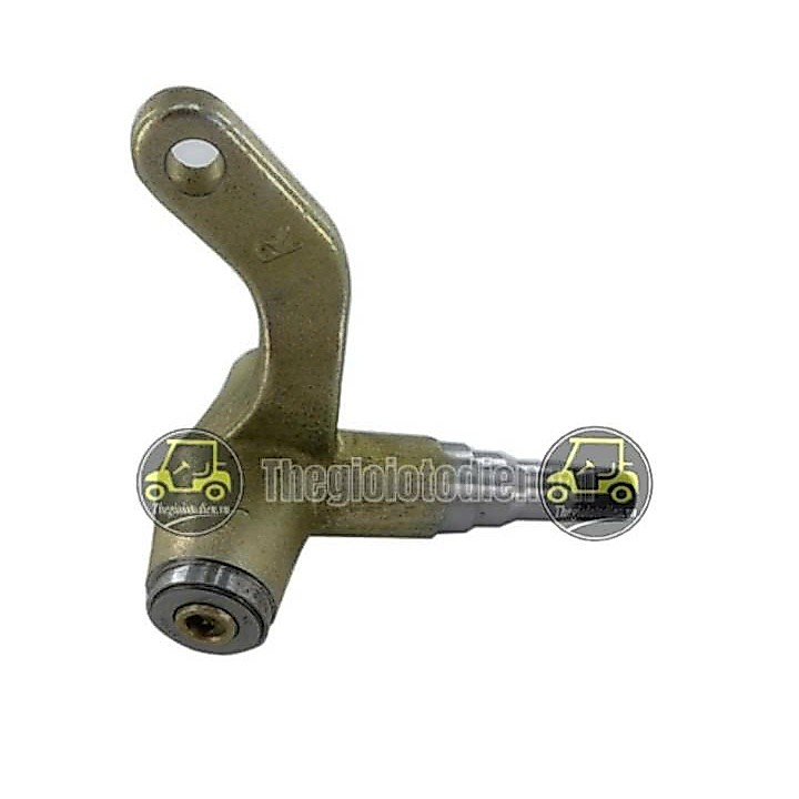 GIÒ GÀ XE ĐIỆN GOLF LVTONG