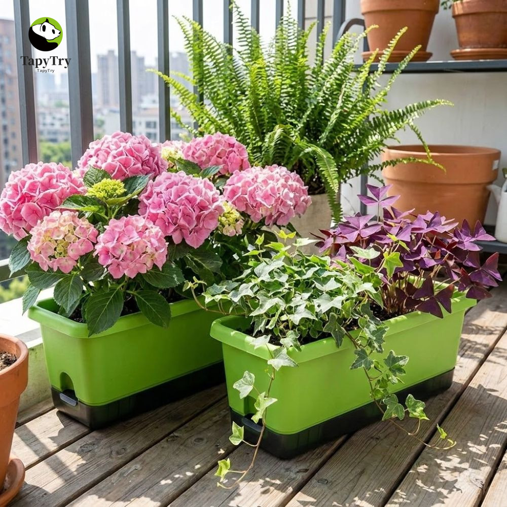 Chậu hoa ALISON có khay, Nhựa có lỗ thoát nước Máy trồng cây tự tưới nước, Chậu hoa trồng cây thoáng
