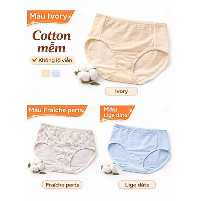 Quần lót nữ cạp cao Vicci QV.15 chất liệu cotton cao cấp, co giãn 4 chiều