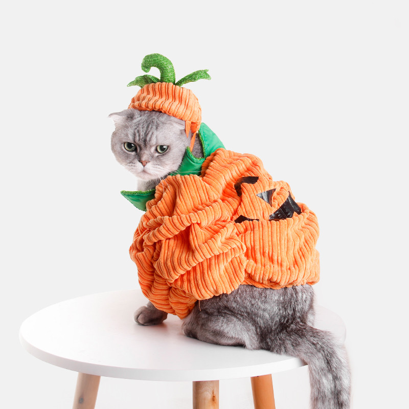 Jizai Mèo Quần Áo Chó Halloween Giáng Sinh Bí Ngô Ngộ nghĩnh Dễ Thương Thú Cưng Quần Áo Mùa Đông Giữ