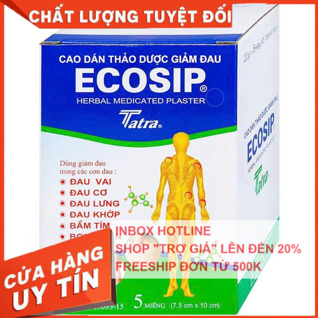 ✅[CHÍNH HÃNG, CHO KIỂM HÀNG] Cao dán thảo dược ECOSIP