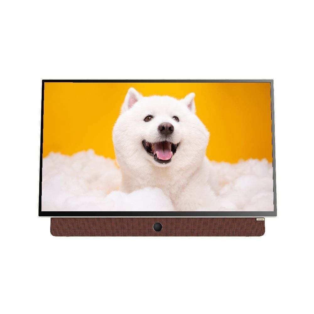 24LP6000G 24 Inch (Có Pin) | 32D3E PRO 32 Inch (Cắm Điện Trực Tiếp) - Google Tivi Xách Tay Di Động C