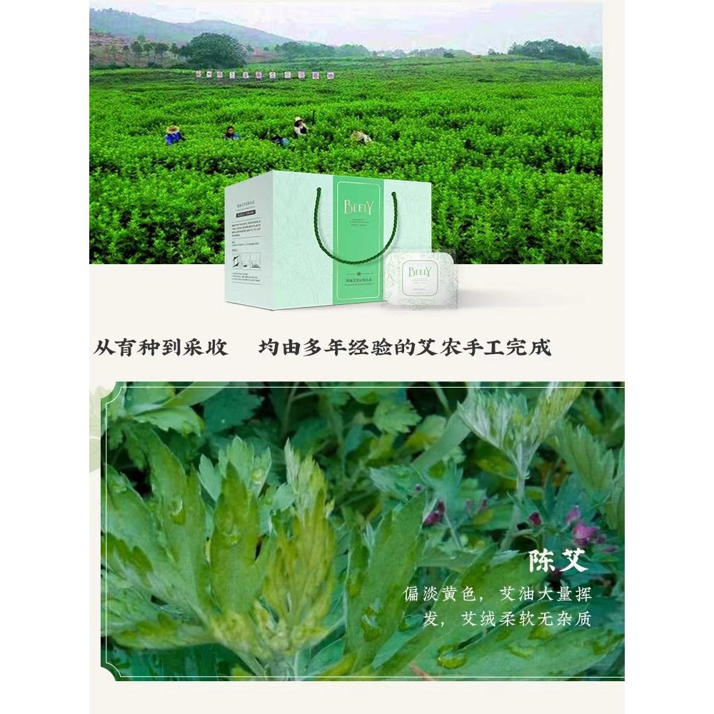 Tập hợp Trang web chính thức BEELY BEELY Wormwood Foot Patch Bag 60 Miếng dán một hộp Wormwood Foot 