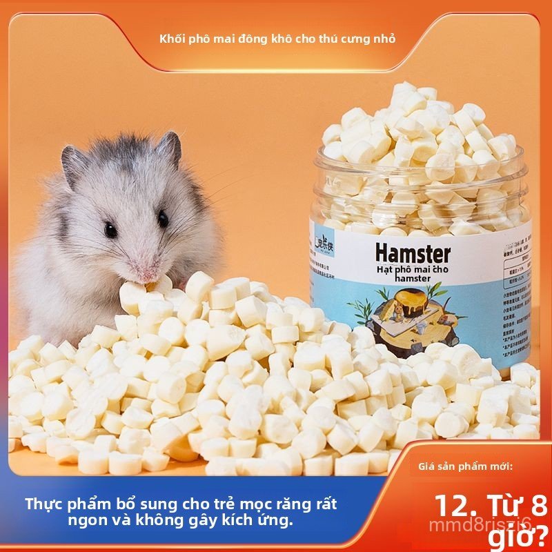 Miếng phô mai ăn vặt cho hamster, đồ ăn vặt cho hamster vàng, đồ ăn vặt cho thú cưng nhỏ, món tráng 