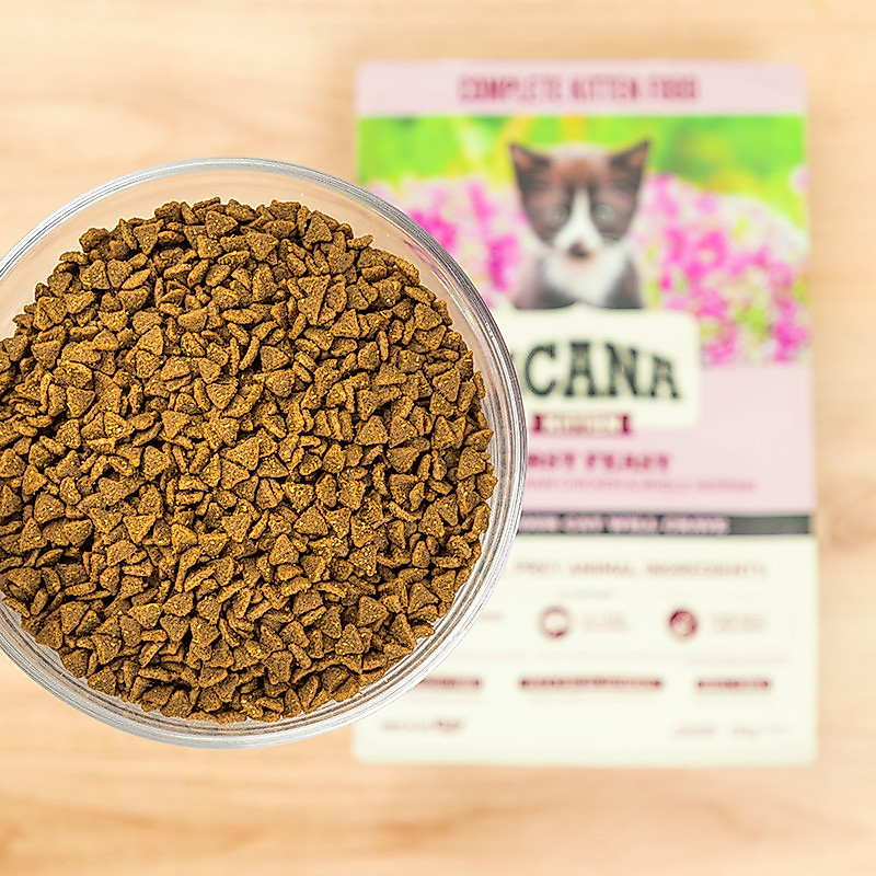 ACANA ACANA Thức ăn cho mèo con Lễ đầu tiên Nhập khẩu từ Hoa Kỳ Thực phẩm ghim dinh dưỡng tăng cường