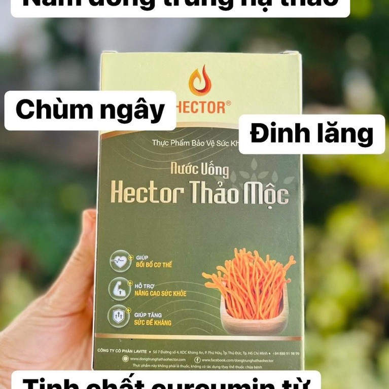 [💯Chính hãng] Nước Đông Trùng Hạ Thảo Hector Thảo Mộc/Hector Basic (Giao nhanh) (Mộc)