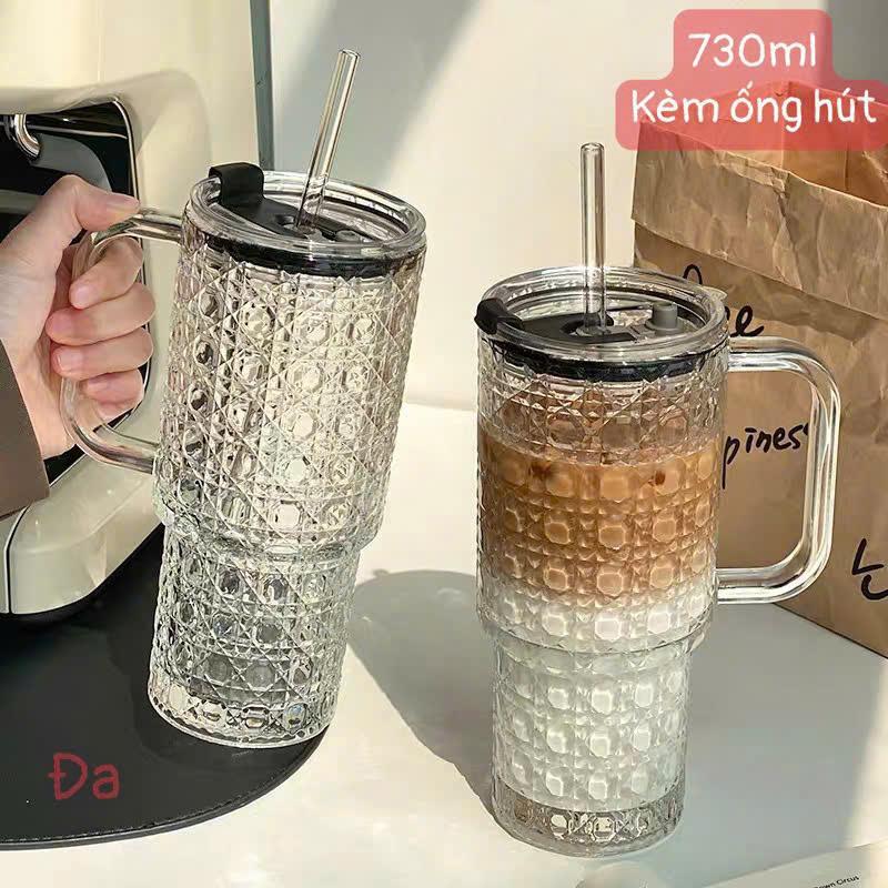 Cốc Thủy Tinh Hoạ Tiết Quả Chám, Ly Uống Nước Có Quai, Kèm Nắp Và Ống Hút, Ly Thủy Tinh Có Quai 730m