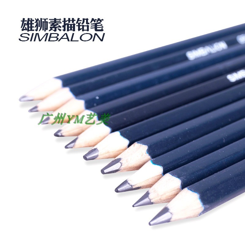 Sư Tử Vẽ Phác Thảo Bút Chì Vẽ Vẽ Bút Chì Nghệ Thuật Tiếp Liệu 2B 3B 4HB Vẽ Bút Chì Thi