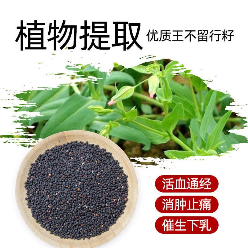 New Product~Wangbuliuliu seed ear acupoint patch Y