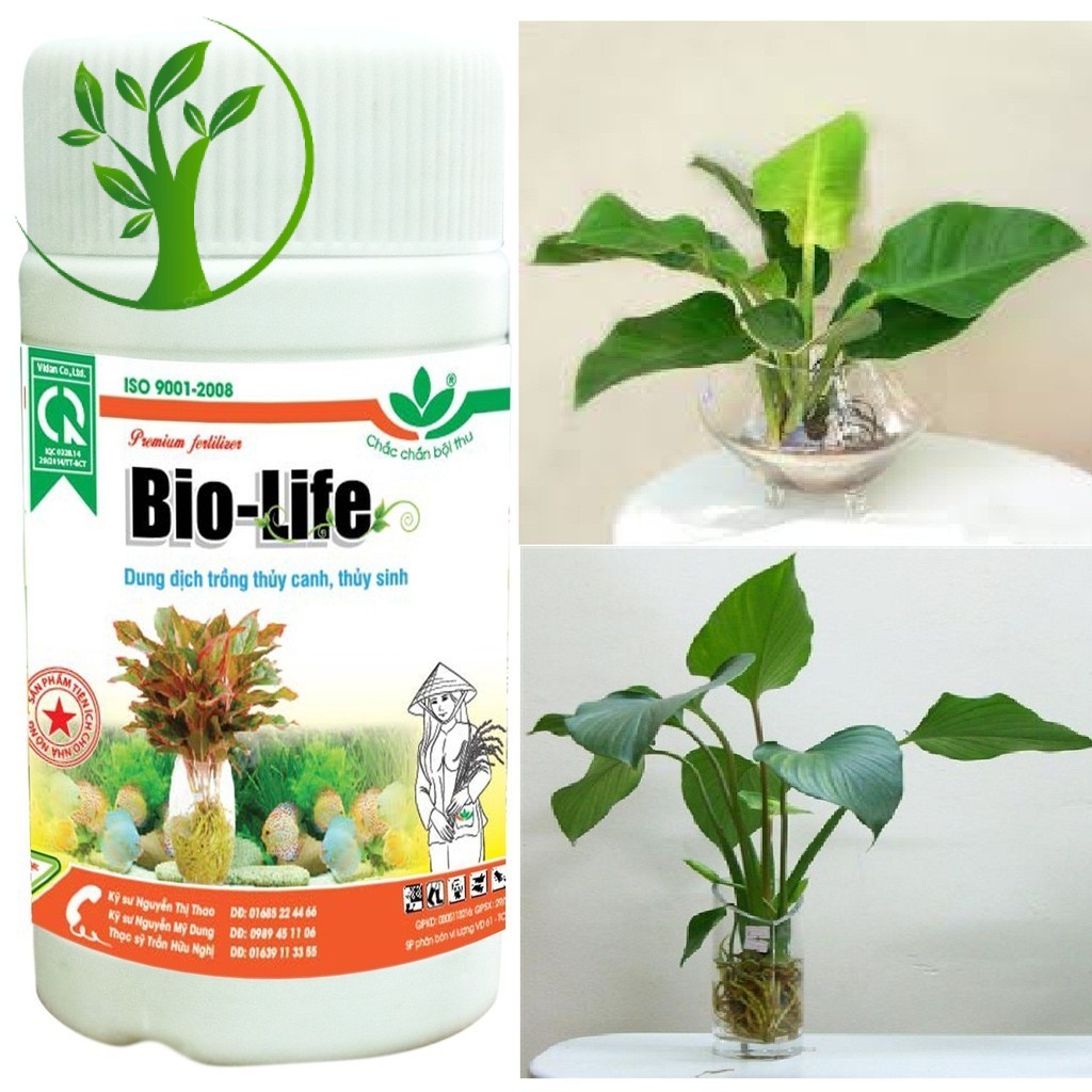 Dung Dich Thủy Canh BIO LIFE (100ml) ,