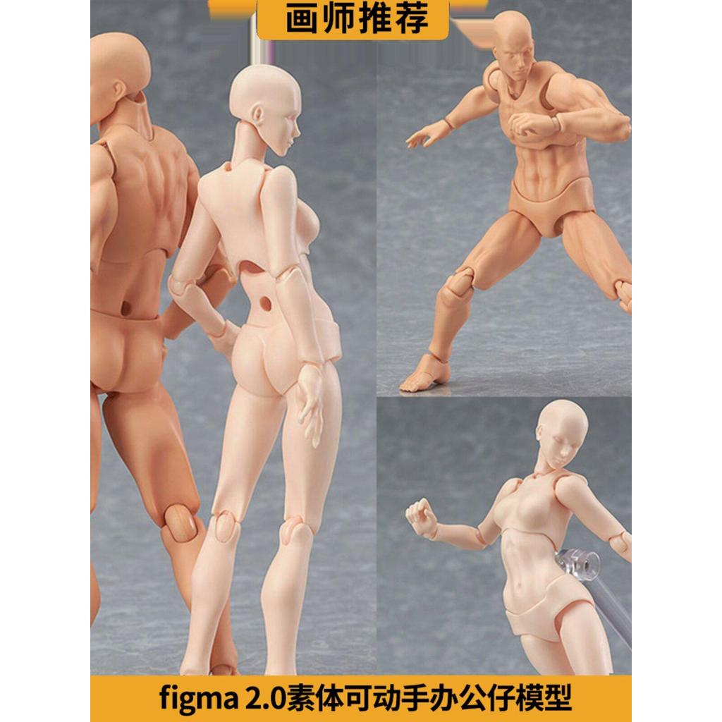 SHF Cơ Thể Tiện Dụng Mô Hình Nghệ Thuật Tranh Tham khảo Nam Nữ Dụng Cụ Đồ Trang Trí figma Chung Nhân