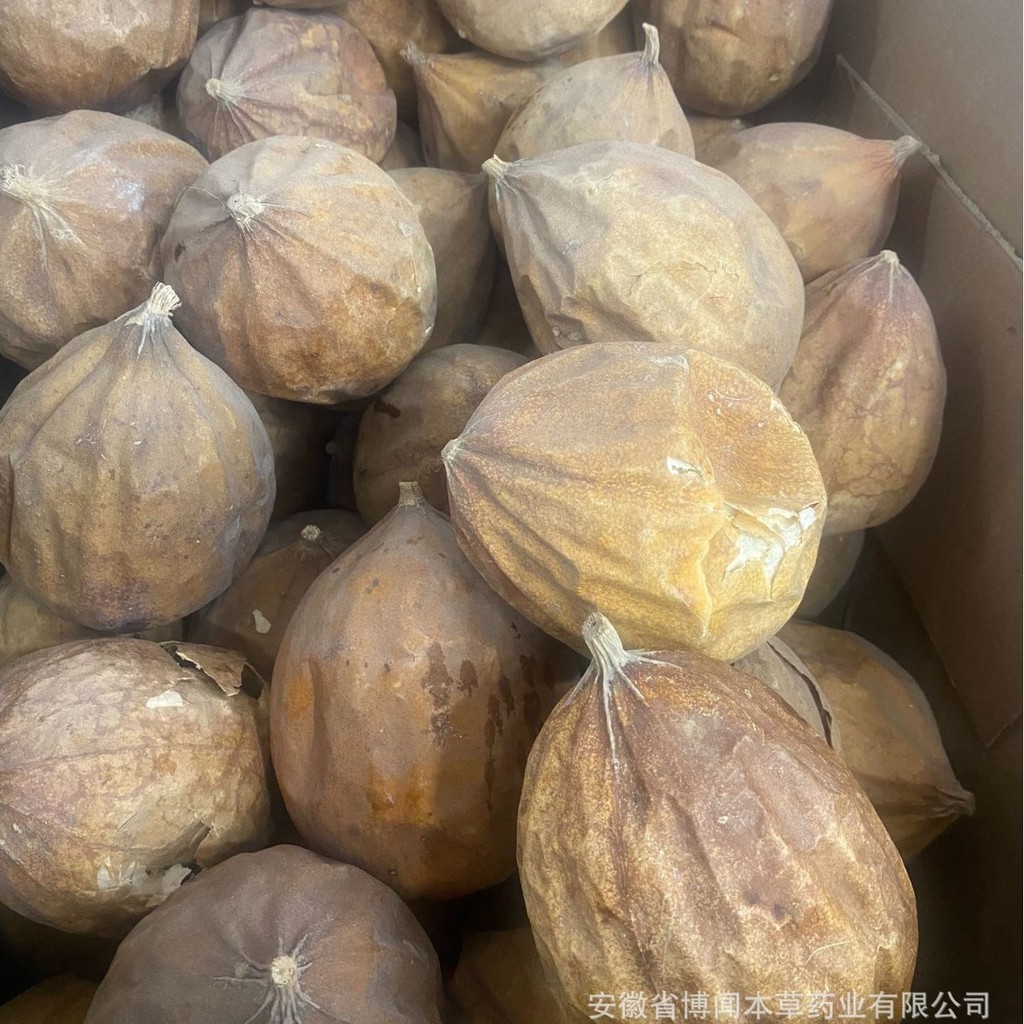 Thớt 5,25 Bột Dưa Lưu huỳnh Lưu huỳnh Dưa Lưu huỳnh Lưu huỳnh Dưa Dưa Lưu huỳnh Lưu huỳnh Không có s