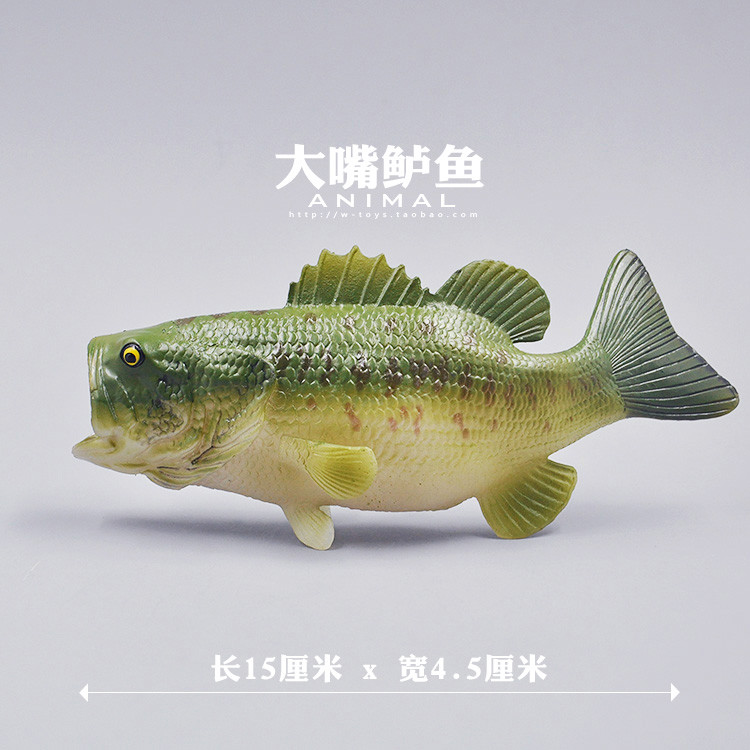 Động vật biển Big Mouth Bass