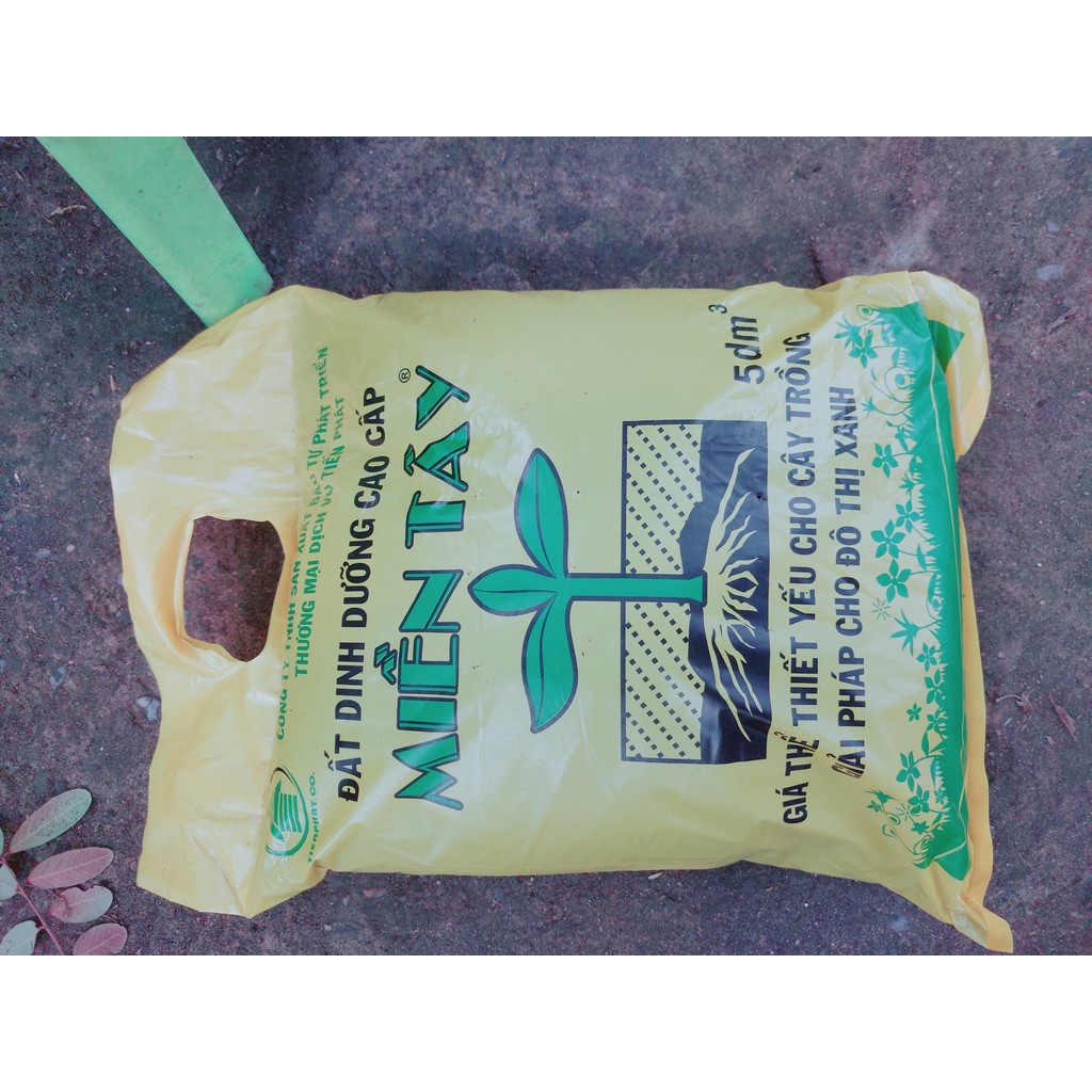 Đất Trồng Cây Bịch Đóng Sẵn 5dm3