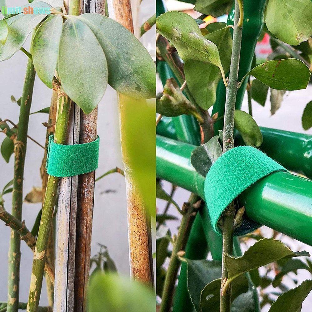 GIỚI HẠN SHOWS Cane Wrap Nylon Giá đỡ màu xanh lá cây để sắp xếp nhà kính 1 cuộn Hỗ trợ cây trồng