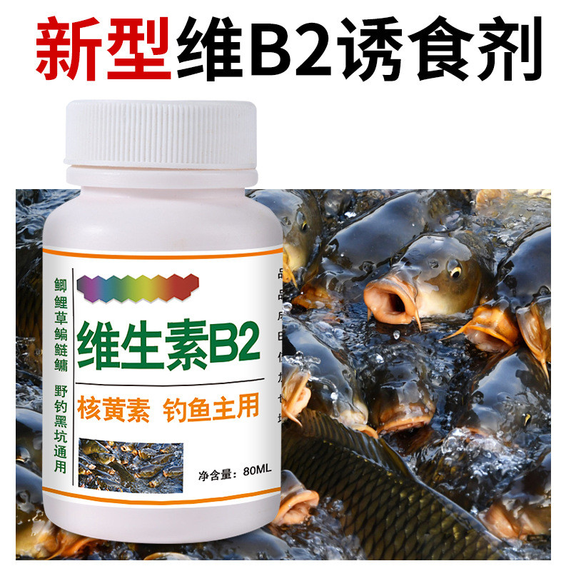 Bán Chạy TK Vitamin b2 Câu Cá Chuyên Dụng Nồi Nhỏ Bốn Mùa Thu Hút Cá Phụ Gia Dianyu Vb2 Sáu Trong Mộ