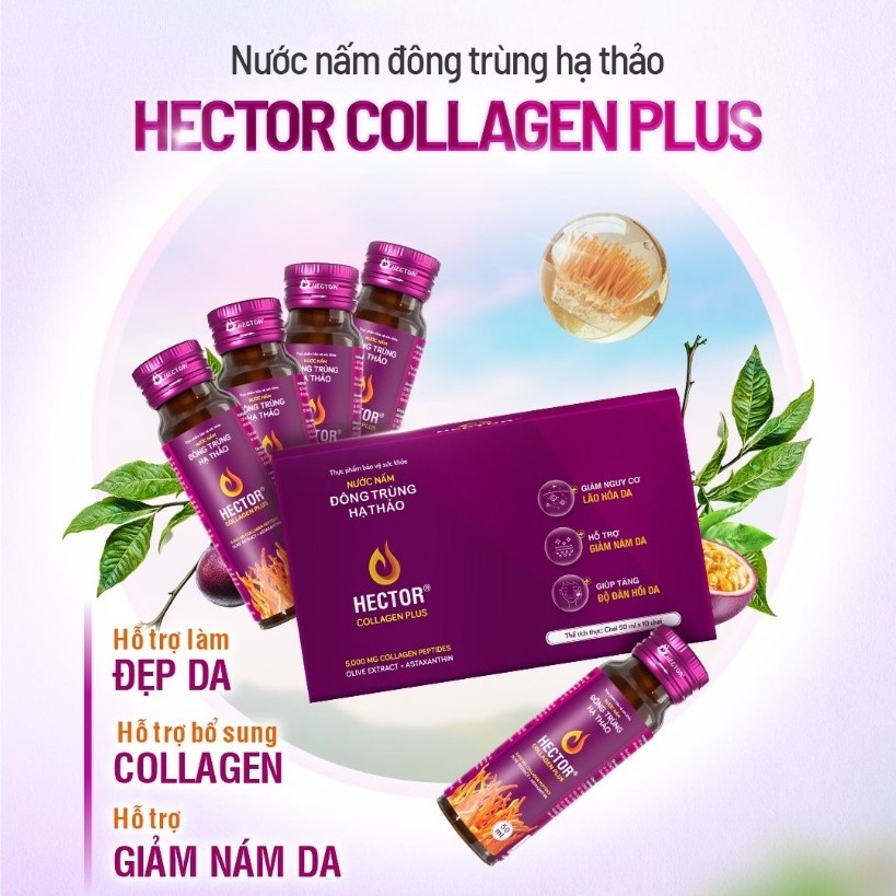 (TẶNG 1 GÓI HECTOR ) Nước Nấm Đông Trùng Hạ Thảo Hector Collagen Plus (hộp 10 chai)