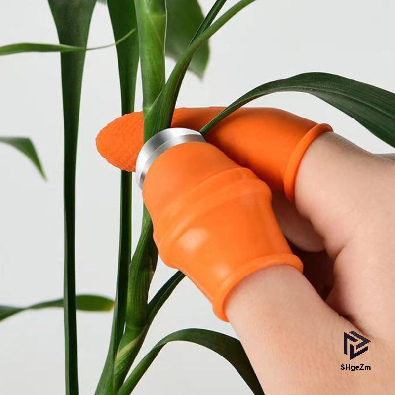 [SHgeZm] Trang trại Rau trái cây Pier Cọc tiêu Đầu cọc Pier Iron Nail Pi Grape Pier cho vườn cây và 