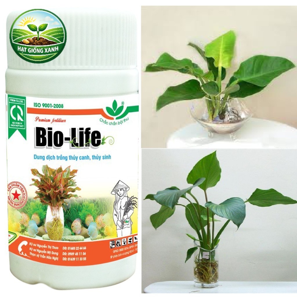 Dung Dich Thủy Canh BIO LIFE (100ml) ,