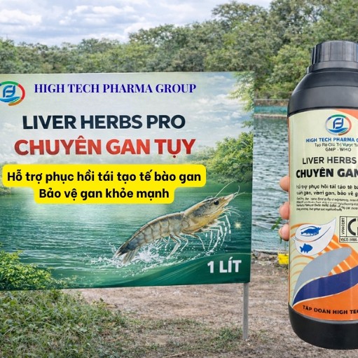 LIVER HERBS PRO - ĐẶC BIỆT CHUYÊN GAN - BỔ TRỢ GAN TÔM - HIGH TECH PHARMA