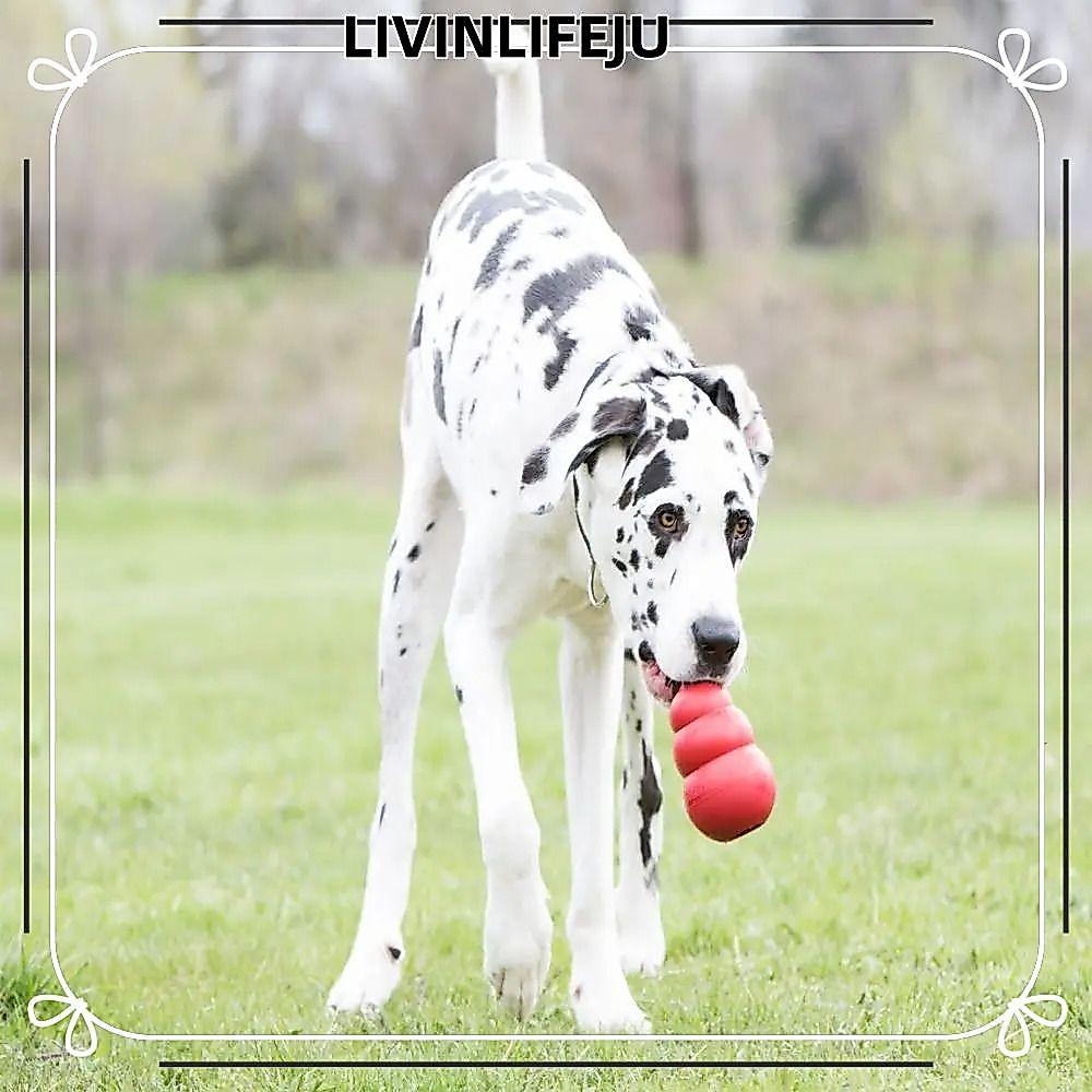 Đồ chơi cho chó ILIVINLIFE Kong, Khả năng điều trị cổ điển Đồ chơi dành cho chó con Kong, Đồ chơi nh