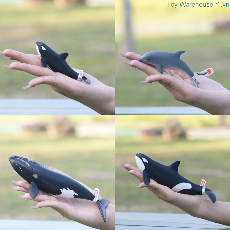 Đức Schleich Schleich Ocean Series Little Dolphin Big Small Killer Whale Killer Whale Beluga Đồ chơi