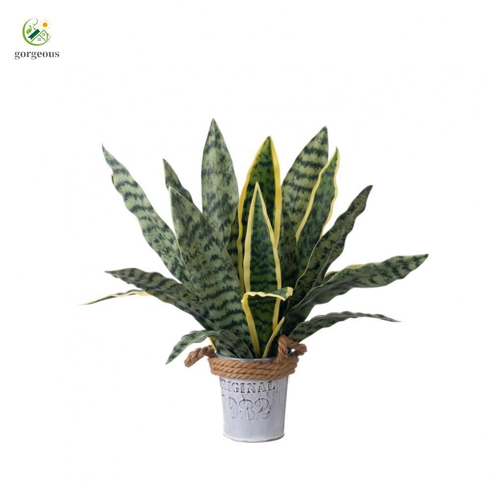 [FUXIN]Artificial Snake Plant Authentic Decor Detailed Imitation Easy Assembly