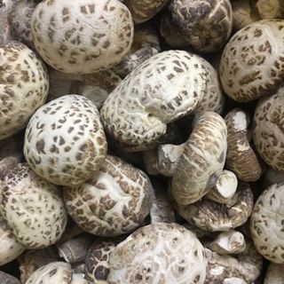 Nấm Đông Cô Nhật 500g