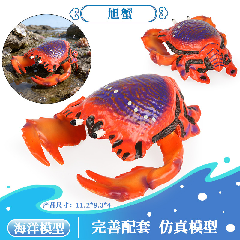 Mô Phỏng Rắn Động Vật Biển Mô Hình Cua Tàu Con Cua Ba Điểm Cua Asahi Cua Vua Cua Trẻ Em Nhận Thức Đồ