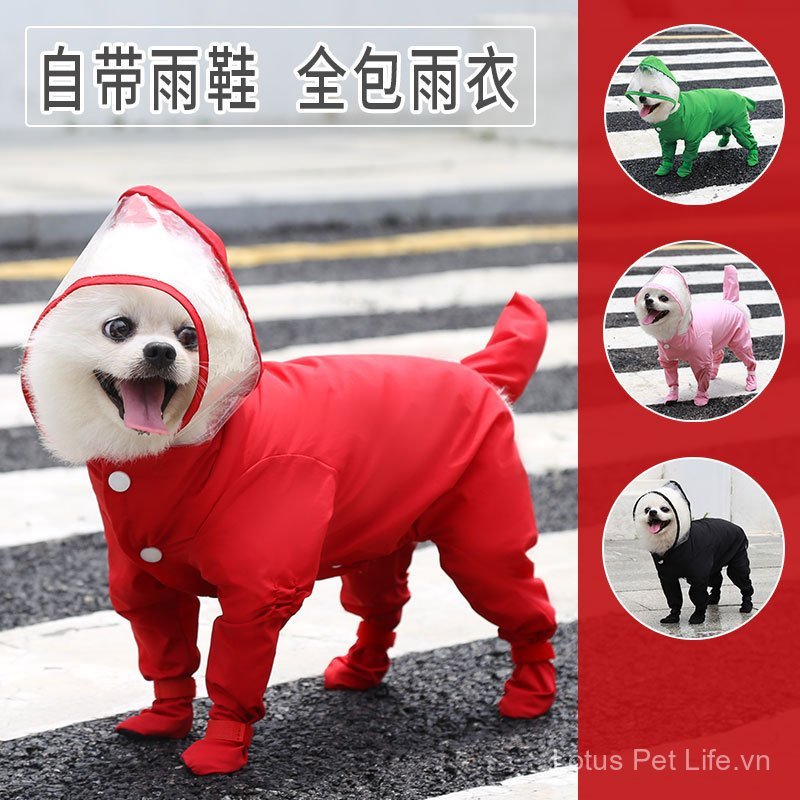 Áo mưa chống nước cho chó Di Cat Đồ dùng bốn chân Túi Thái Xuân Hè Thu Đông Full Mang theo Bibi Pet 